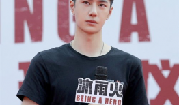 吃瓜爆料陈晓王一博,娱乐圈的甜蜜碰撞